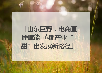 山东巨野：电商直播赋能 黄桃产业“甜”出发展新路径